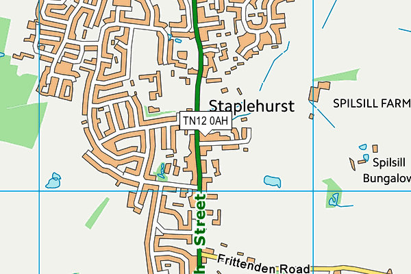 TN12 0AH map - OS VectorMap District (Ordnance Survey) TN12 0AH map - OS VectorMap District (Ordnance Survey)