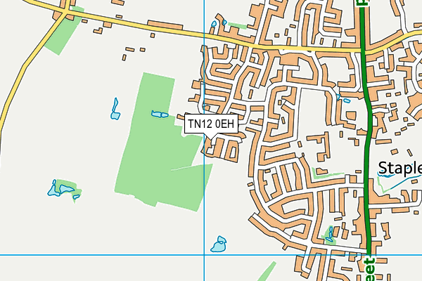 TN12 0EH map - OS VectorMap District (Ordnance Survey) TN12 0EH map - OS VectorMap District (Ordnance Survey)