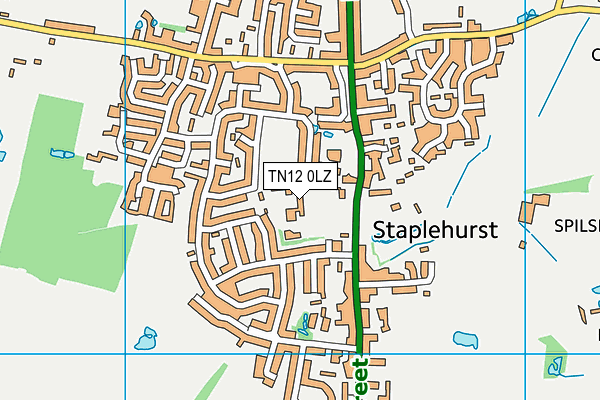 TN12 0LZ map - OS VectorMap District (Ordnance Survey) TN12 0LZ map - OS VectorMap District (Ordnance Survey)