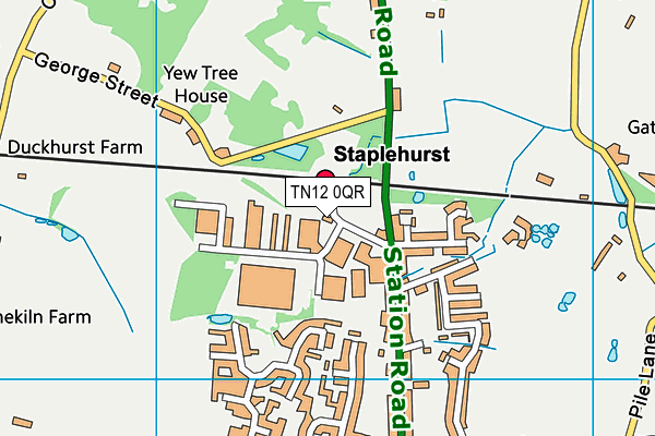 TN12 0QR map - OS VectorMap District (Ordnance Survey) TN12 0QR map - OS VectorMap District (Ordnance Survey)
