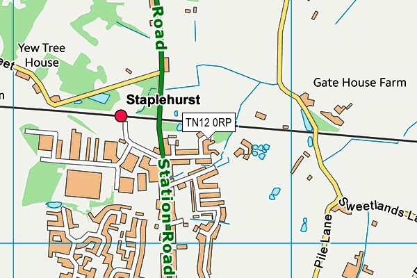 TN12 0RP map - OS VectorMap District (Ordnance Survey) TN12 0RP map - OS VectorMap District (Ordnance Survey)