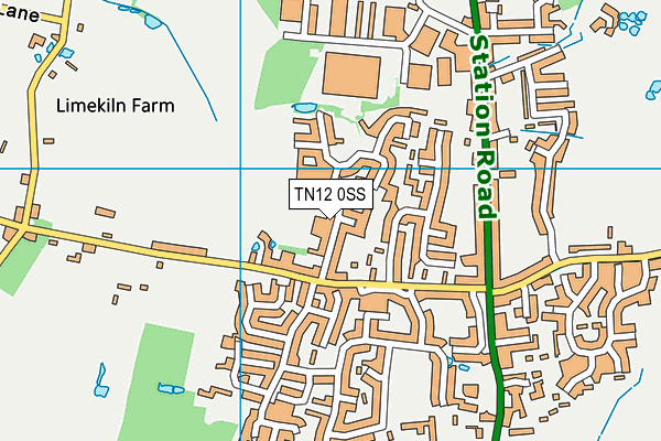 TN12 0SS map - OS VectorMap District (Ordnance Survey) TN12 0SS map - OS VectorMap District (Ordnance Survey)