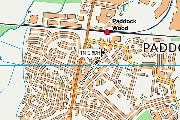 TN12 6DH map - OS VectorMap District (Ordnance Survey) TN12 6DH map - OS VectorMap District (Ordnance Survey)