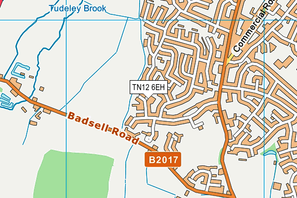 TN12 6EH map - OS VectorMap District (Ordnance Survey) TN12 6EH map - OS VectorMap District (Ordnance Survey)