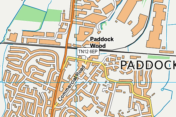 TN12 6EP map - OS VectorMap District (Ordnance Survey) TN12 6EP map - OS VectorMap District (Ordnance Survey)
