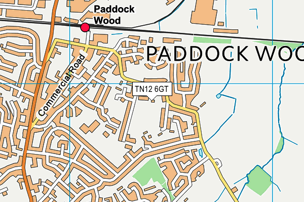 TN12 6GT map - OS VectorMap District (Ordnance Survey) TN12 6GT map - OS VectorMap District (Ordnance Survey)