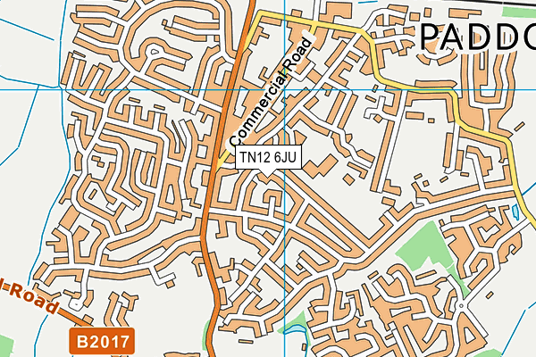 TN12 6JU map - OS VectorMap District (Ordnance Survey)