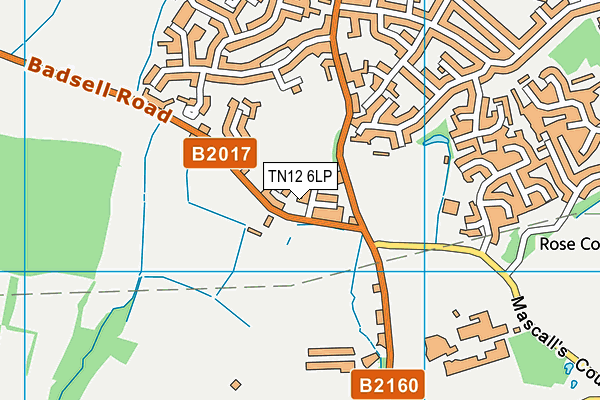 TN12 6LP map - OS VectorMap District (Ordnance Survey) TN12 6LP map - OS VectorMap District (Ordnance Survey)