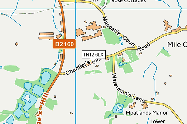 TN12 6LX map - OS VectorMap District (Ordnance Survey) TN12 6LX map - OS VectorMap District (Ordnance Survey)