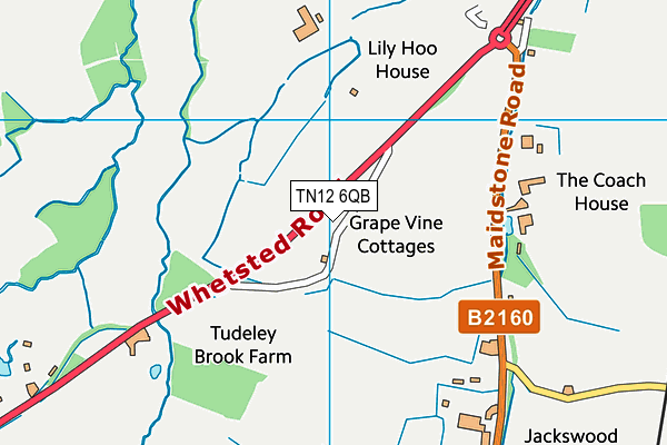 TN12 6QB map - OS VectorMap District (Ordnance Survey) TN12 6QB map - OS VectorMap District (Ordnance Survey)