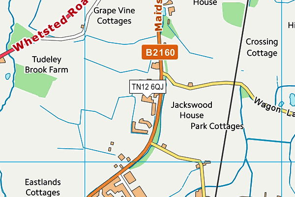 TN12 6QJ map - OS VectorMap District (Ordnance Survey) TN12 6QJ map - OS VectorMap District (Ordnance Survey)