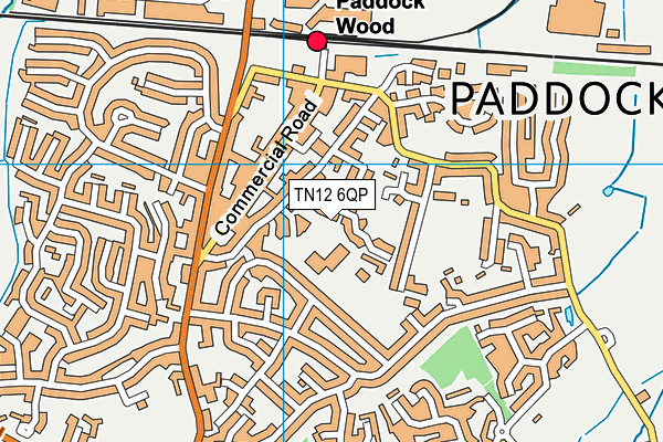 TN12 6QP map - OS VectorMap District (Ordnance Survey) TN12 6QP map - OS VectorMap District (Ordnance Survey)