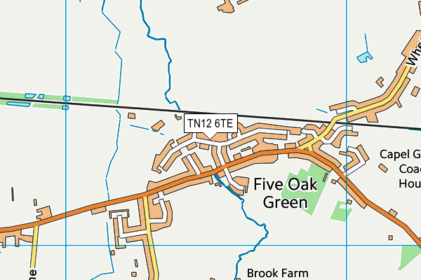 TN12 6TE map - OS VectorMap District (Ordnance Survey) TN12 6TE map - OS VectorMap District (Ordnance Survey)
