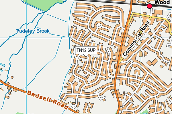 TN12 6UP map - OS VectorMap District (Ordnance Survey) TN12 6UP map - OS VectorMap District (Ordnance Survey)