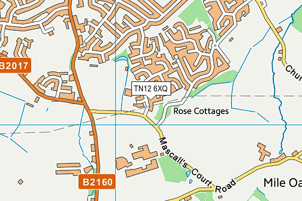 TN12 6XQ map - OS VectorMap District (Ordnance Survey) TN12 6XQ map - OS VectorMap District (Ordnance Survey)