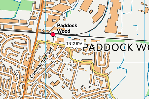 TN12 6YA map - OS VectorMap District (Ordnance Survey) TN12 6YA map - OS VectorMap District (Ordnance Survey)