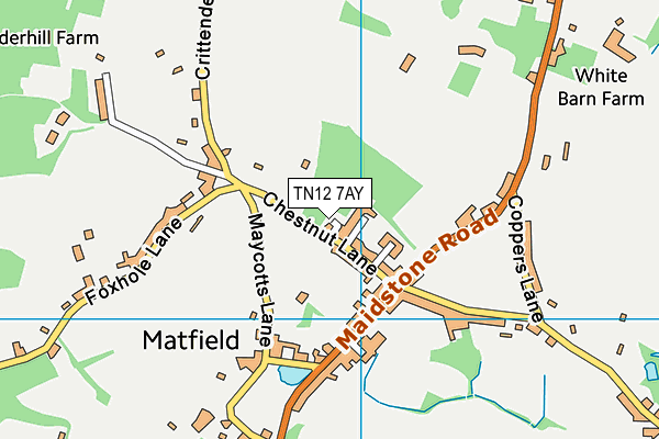 TN12 7AY map - OS VectorMap District (Ordnance Survey) TN12 7AY map - OS VectorMap District (Ordnance Survey)