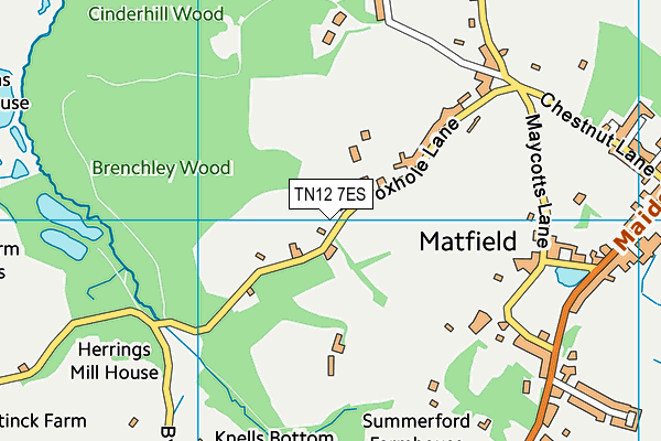 TN12 7ES map - OS VectorMap District (Ordnance Survey) TN12 7ES map - OS VectorMap District (Ordnance Survey)
