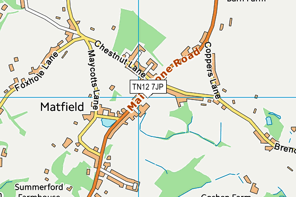 TN12 7JP map - OS VectorMap District (Ordnance Survey) TN12 7JP map - OS VectorMap District (Ordnance Survey)