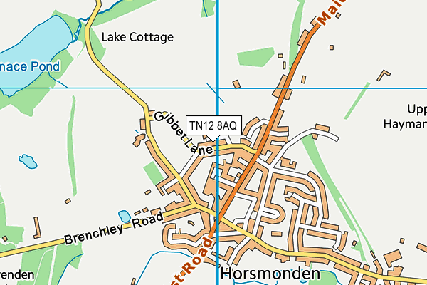 TN12 8AQ map - OS VectorMap District (Ordnance Survey) TN12 8AQ map - OS VectorMap District (Ordnance Survey)