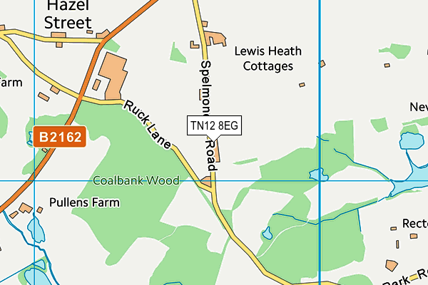 TN12 8EG map - OS VectorMap District (Ordnance Survey) TN12 8EG map - OS VectorMap District (Ordnance Survey)