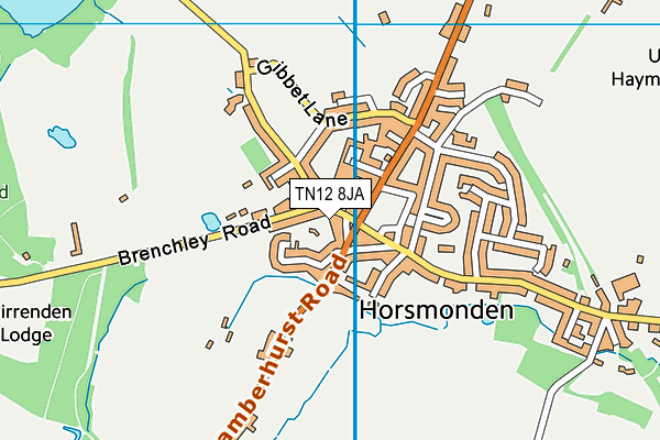 TN12 8JA map - OS VectorMap District (Ordnance Survey) TN12 8JA map - OS VectorMap District (Ordnance Survey)