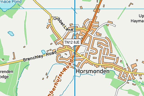 TN12 8JE map - OS VectorMap District (Ordnance Survey) TN12 8JE map - OS VectorMap District (Ordnance Survey)