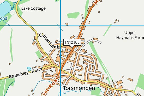 TN12 8JL map - OS VectorMap District (Ordnance Survey) TN12 8JL map - OS VectorMap District (Ordnance Survey)