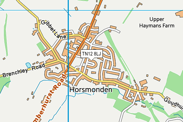 TN12 8LJ map - OS VectorMap District (Ordnance Survey) TN12 8LJ map - OS VectorMap District (Ordnance Survey)