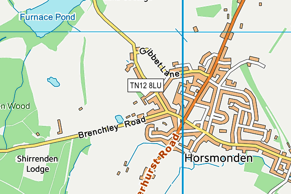 TN12 8LU map - OS VectorMap District (Ordnance Survey) TN12 8LU map - OS VectorMap District (Ordnance Survey)