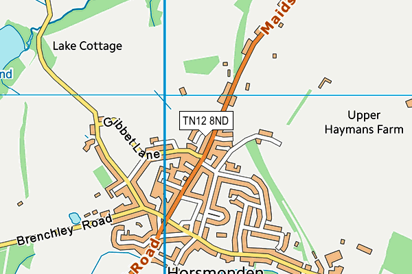 TN12 8ND map - OS VectorMap District (Ordnance Survey) TN12 8ND map - OS VectorMap District (Ordnance Survey)