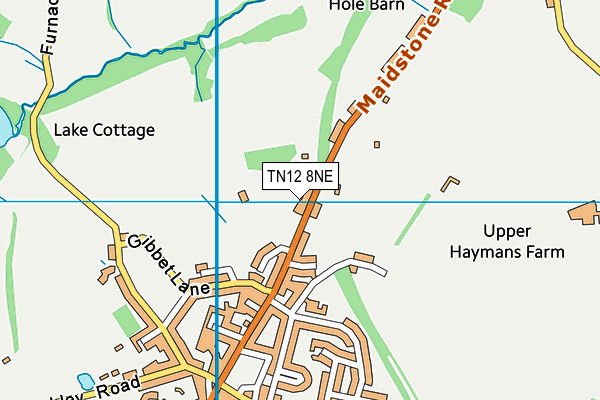 TN12 8NE map - OS VectorMap District (Ordnance Survey)