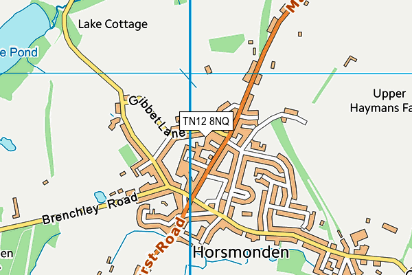 TN12 8NQ map - OS VectorMap District (Ordnance Survey) TN12 8NQ map - OS VectorMap District (Ordnance Survey)