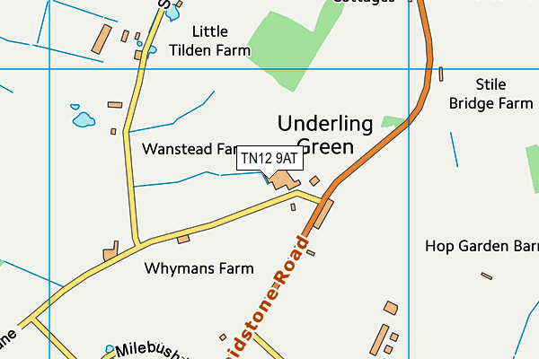 TN12 9AT map - OS VectorMap District (Ordnance Survey) TN12 9AT map - OS VectorMap District (Ordnance Survey)