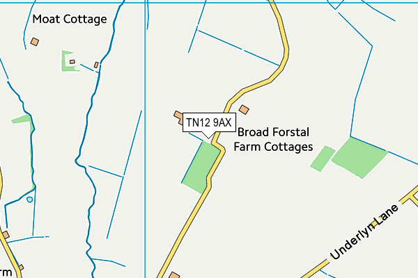TN12 9AX map - OS VectorMap District (Ordnance Survey) TN12 9AX map - OS VectorMap District (Ordnance Survey)