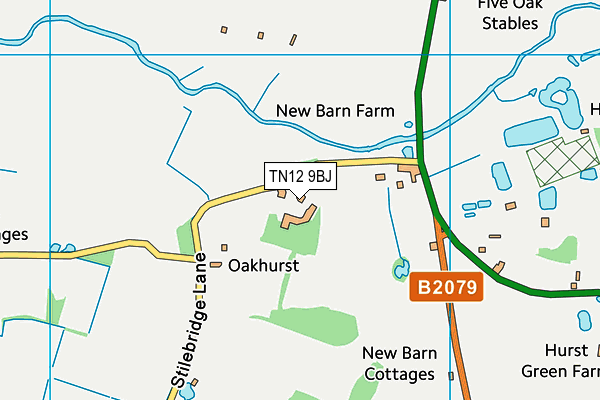 TN12 9BJ map - OS VectorMap District (Ordnance Survey) TN12 9BJ map - OS VectorMap District (Ordnance Survey)