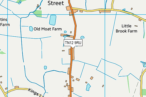 TN12 9RU map - OS VectorMap District (Ordnance Survey) TN12 9RU map - OS VectorMap District (Ordnance Survey)