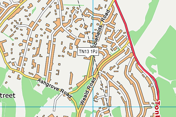 TN13 1PJ map - OS VectorMap District (Ordnance Survey) TN13 1PJ map - OS VectorMap District (Ordnance Survey)
