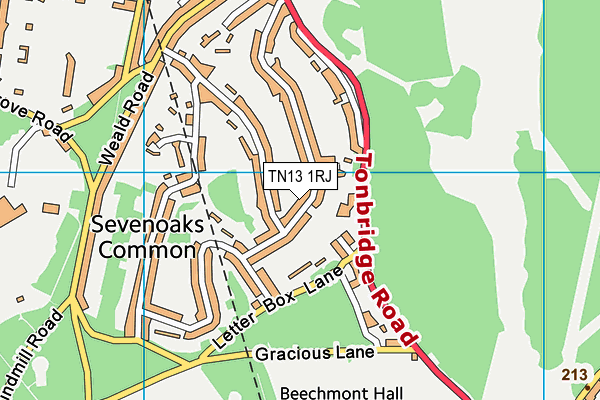 TN13 1RJ map - OS VectorMap District (Ordnance Survey)