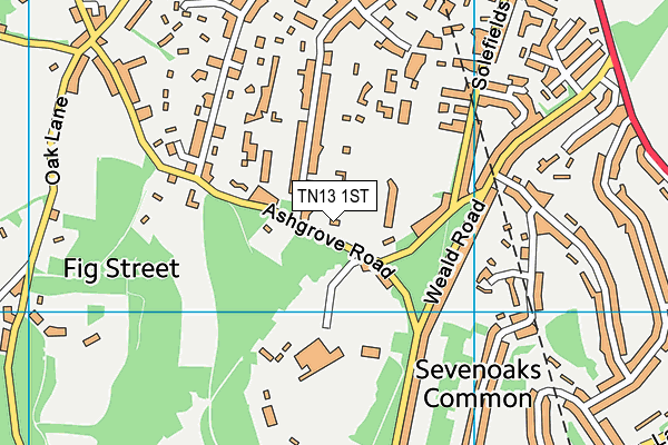 TN13 1ST map - OS VectorMap District (Ordnance Survey) TN13 1ST map - OS VectorMap District (Ordnance Survey)