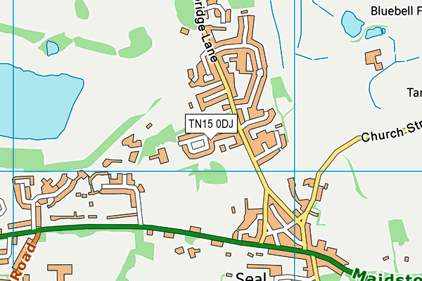 TN15 0DJ map - OS VectorMap District (Ordnance Survey) TN15 0DJ map - OS VectorMap District (Ordnance Survey)
