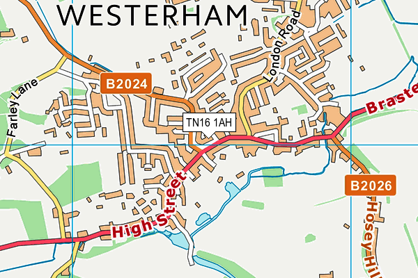 TN16 1AH map - OS VectorMap District (Ordnance Survey) TN16 1AH map - OS VectorMap District (Ordnance Survey)