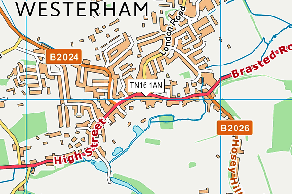 TN16 1AN map - OS VectorMap District (Ordnance Survey) TN16 1AN map - OS VectorMap District (Ordnance Survey)