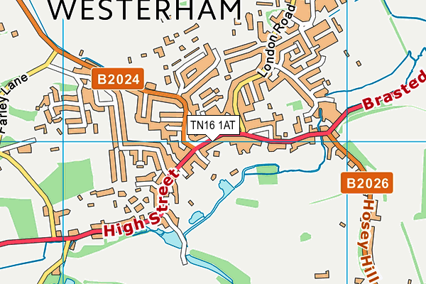 TN16 1AT map - OS VectorMap District (Ordnance Survey) TN16 1AT map - OS VectorMap District (Ordnance Survey)
