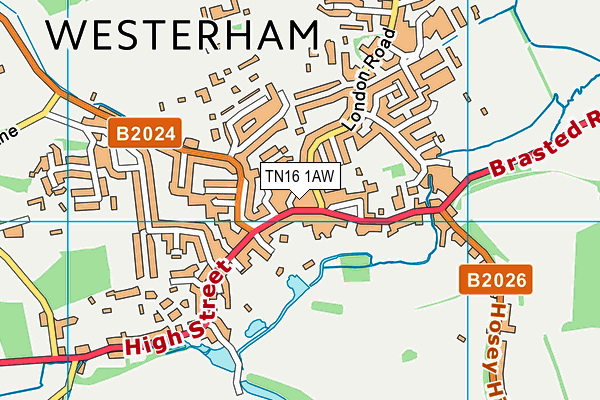 TN16 1AW map - OS VectorMap District (Ordnance Survey) TN16 1AW map - OS VectorMap District (Ordnance Survey)