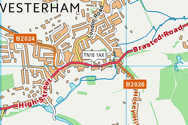 TN16 1AX map - OS VectorMap District (Ordnance Survey) TN16 1AX map - OS VectorMap District (Ordnance Survey)