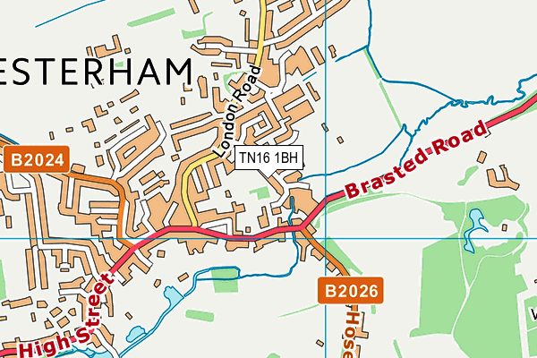 TN16 1BH map - OS VectorMap District (Ordnance Survey)