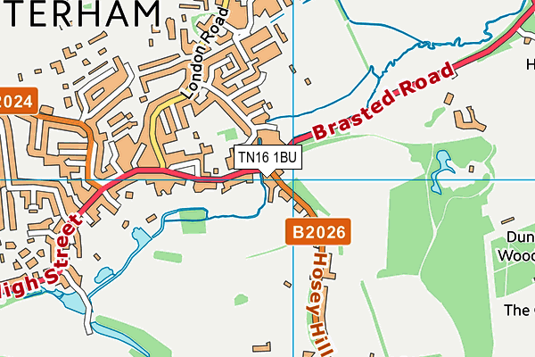 TN16 1BU map - OS VectorMap District (Ordnance Survey) TN16 1BU map - OS VectorMap District (Ordnance Survey)