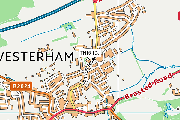 TN16 1DJ map - OS VectorMap District (Ordnance Survey) TN16 1DJ map - OS VectorMap District (Ordnance Survey)