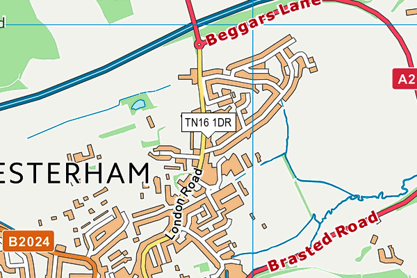 TN16 1DR map - OS VectorMap District (Ordnance Survey) TN16 1DR map - OS VectorMap District (Ordnance Survey)